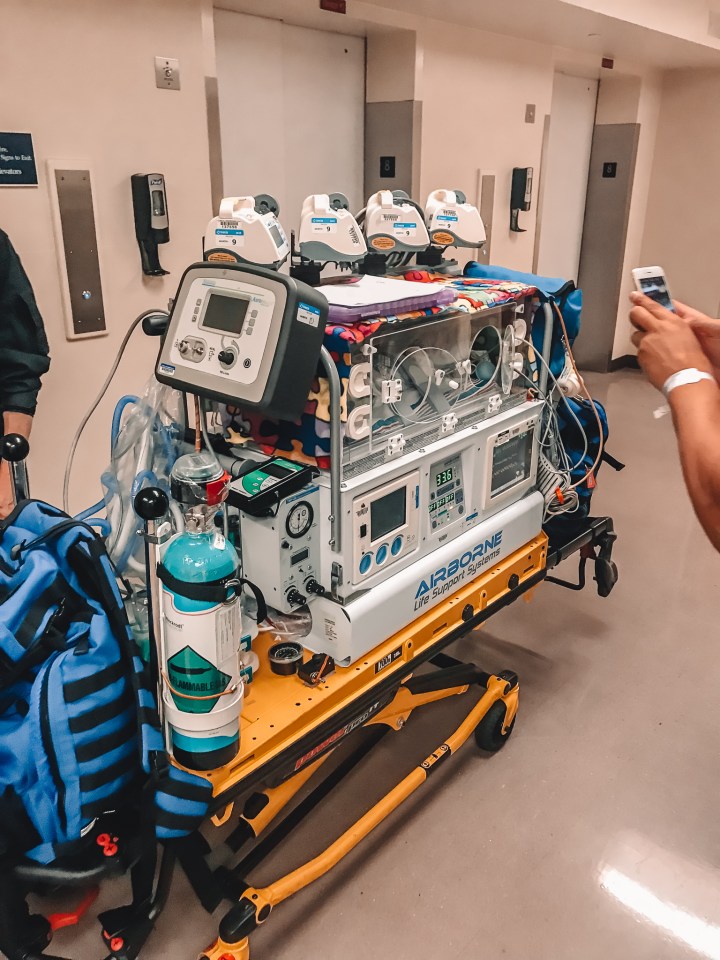 s2lmJ819S66QsYgHb453Ww