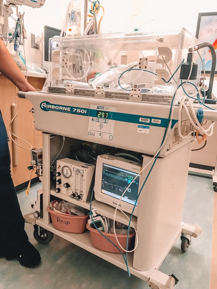 xcEd5z3tSCS7r8WKA3EH+g